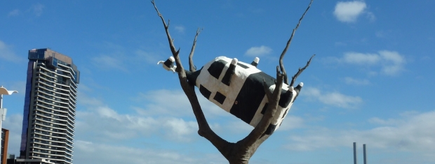 Continue reading #cowwatch at the Docklands&hellip;